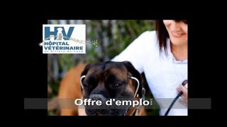 Offre demploi Recherche Vétérinaires à LHôpital Vétérinaire de RivièreduLoup [upl. by Anaihs]