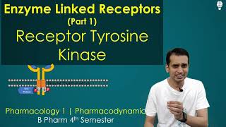 Enzyme Linked Receptor part 1 Tyrosine Kinase Receptor [upl. by Cower724]