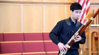 Weber Bassoon Concerto in F Major Op 75 1st Movement Excerpt [upl. by Langham]