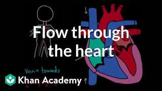 Flow through the heart  Circulatory system physiology  NCLEXRN  Khan Academy [upl. by Africah]