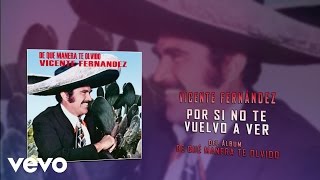 Vicente Fernández  Por Si No Te Vuelvo a Ver Cover Audio [upl. by Nahtan]