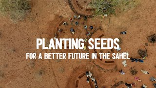 Planting Seeds for a better Future in the Sahel [upl. by Yevol593]