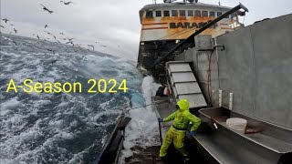 Baranof Slaying Cod 2024 [upl. by Anitsua606]