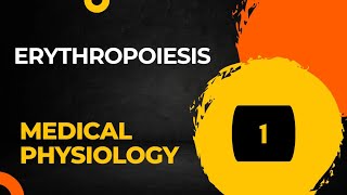 Erythropoiesis Red Blood Cell Formation Part 1  Hematology [upl. by Ignatius]