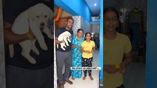 Only parents can understand🙃🙃 sathishanitha comedy ytshorts reallifecomedy couplecomedy fun [upl. by Redmer20]