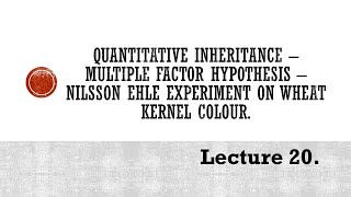 Lecture 20 amp 21 Quantitative Inheritance PBG 201 [upl. by Ylrahc]