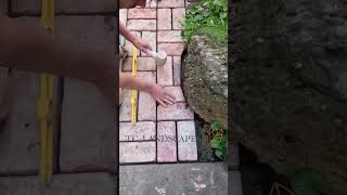 brick paving with reclaimed bricks [upl. by Cissy]