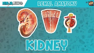 Femur Anatomy [upl. by Dysart]