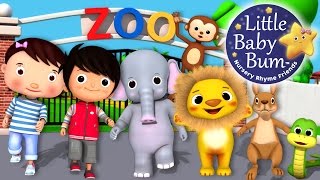 Zoo Song  Animal Song  Plus Lots More Nursery Rhymes  From LittleBabyBum [upl. by Corette]