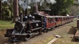 Narrow Gauge Steam Trains  Puffing Billy Railway Australian Trains [upl. by Saleme135]