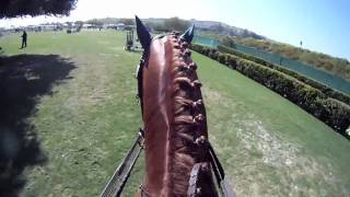 GoPro Horse Show Jumping [upl. by Iong]