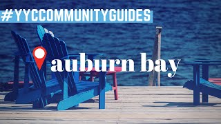 Auburn Bay SE Calgary  What is the Best Neighbourhood in Calgary  Calgary Real Estate [upl. by Fernyak]