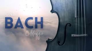 Only Bach  The Best of JS Bach for Cello [upl. by Yrrep]