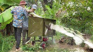 How They Chop Down Large Banana Trees To Feed Fish [upl. by Tabbie]