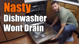 Easy Fix For Dishwasher That Wont Drain  THE HANDYMAN [upl. by Ahsienauq]