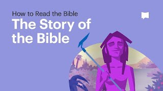 The Story of the Bible • What Its About From Beginning to End [upl. by Giffer]