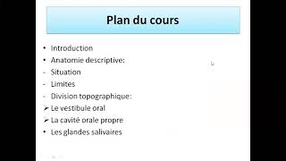 la cavité buccale et les glandes salivaires  dabdarahman rakik étudiant en 2 eme année médecin [upl. by Llerdnam]