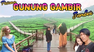 Pesona Gunung Gambir Jember 2023 [upl. by Annal]