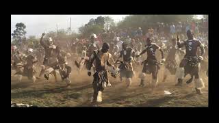 AMAZING ZULU WARRIOR DANCE  SOUTH AFRICA [upl. by Telfore]