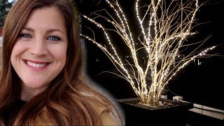 Prepping My Planters for Christmas Part 1 🎄😃 Garden Answer [upl. by Lakym380]