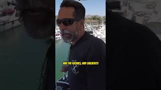 How to Dock Your Fishing Boat in Dana Point Harbor 🛥️  Part 2 [upl. by Dolley]