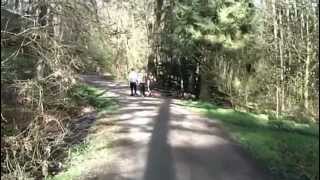 Ride Through Ravenna Park Seattle [upl. by Rhu]