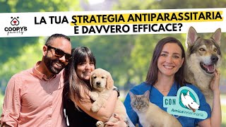 Antiparassitari per cani cosa sapere per scegliere al meglio amicaveterinaria [upl. by Eelarat]