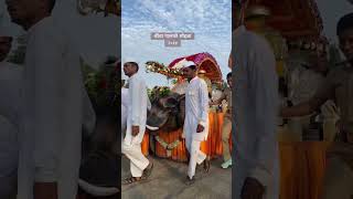 shrigajananmaharajpalkhisohala aashadhiekadashi aashadhiwari 2024 trendingshorts youtubeshorts [upl. by Nimzaj]