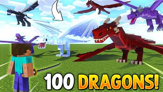 100 DRAGONS vs Me in Minecraft [upl. by Nacim268]