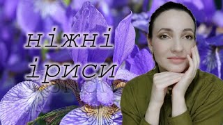 КУПИЛА НАОСЛІП БОКС З АРОМАТАМИ  Розпаковка і перші враження  ІРИСОВІ АРОМАТИ 💜💛 [upl. by Arihday341]