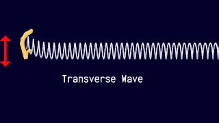 Longitudinal and Transverse Waves [upl. by Prue]