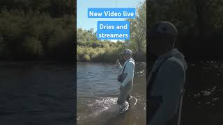 Fly fishing the Boardman River streamerfishing troutfishing puremichigan riverfishing [upl. by Nomannic]