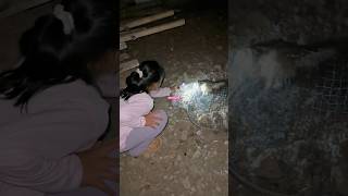 SI RIKJUL BERHASIL NANGKEP BURUNG HANTU viralvideo shorts [upl. by Cornela681]