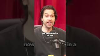 Bryan Callen gets silenced by Chris Delia🤣😂 [upl. by Hasen]