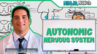 Neurology  Autonomic Nervous System [upl. by Corrinne388]