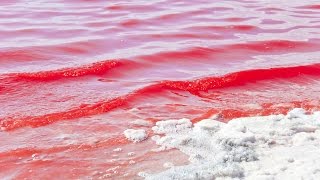 Lake Hillier  pink lake  Western Australia [upl. by Eclud]