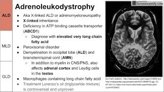 Leukodystrophies ALD MLD and GLD [upl. by Horwath]