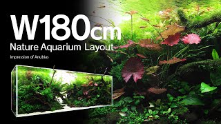 ADAview Impression of Anubias アヌビアスの印象 W180cm NatureAquarium Layout【ENJP Sub】 [upl. by Vale]