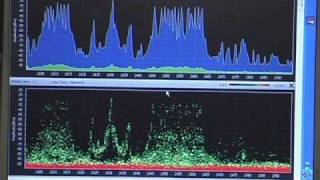 Review Hitec Spectra AFHSS 24GHz receiver and module part 3 [upl. by Otrevlig]