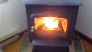 Burning Leaf Pellets in Pellet stove [upl. by Eentrok328]