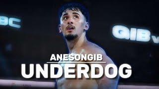 AnEsonGib UNDERDOG  Boxing Documentary [upl. by Jobye]