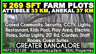 MANAGED FARM LAND BANGALORE  RS 269 PER SFT  A Big Banyan Tree very close to our Farm Land Layout [upl. by Nevak677]