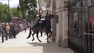 Royal Guard horse falls Queen Guard  London 2022  UK [upl. by Tray]