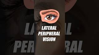 Lateral Peripheral Vision shorts shipramaam [upl. by Eyaj]