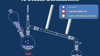 How Steam Distillation Works [upl. by Ahtekahs]