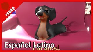 Dog of Wisdom 2  Fandub Español Latino  Wisdom Dog [upl. by Atinrahc887]