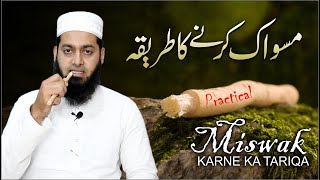 Miswak karne ka tariqa  Miswak ke fayde  Practical  مسواک کرنے کا طریقہ Mufti Obaid Shareef [upl. by Bernardo]