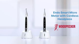 DTE Woodpecker Endosmart  Cordless Endo Motor  In UK by VSDent [upl. by Nylehtak]