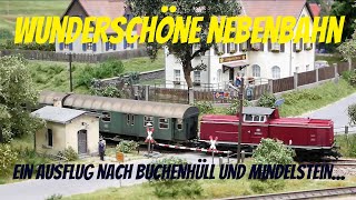 H0 Modellbahn Ausflug über eine wunderschön gestaltete Nebenbahn dazu der Donau Kurier und V200 [upl. by Herates]