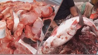 13 KG Giant Pangas Fish Cutting Skills LiveIn Fish Market  Pangasius Catfish Cutting [upl. by Ahtekahs950]